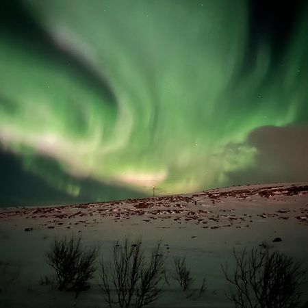 Leilighet I Vadsø Eksteriør billede